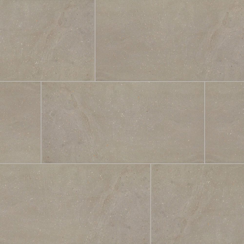 Dal-Tile Exposition Greige 12" x 24" Porcelain Tile, , large