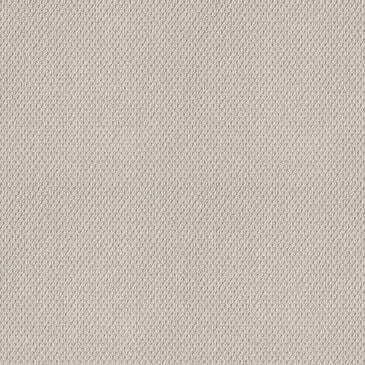 Shaw Naturalistic Carpet in Winters Dawn, , large