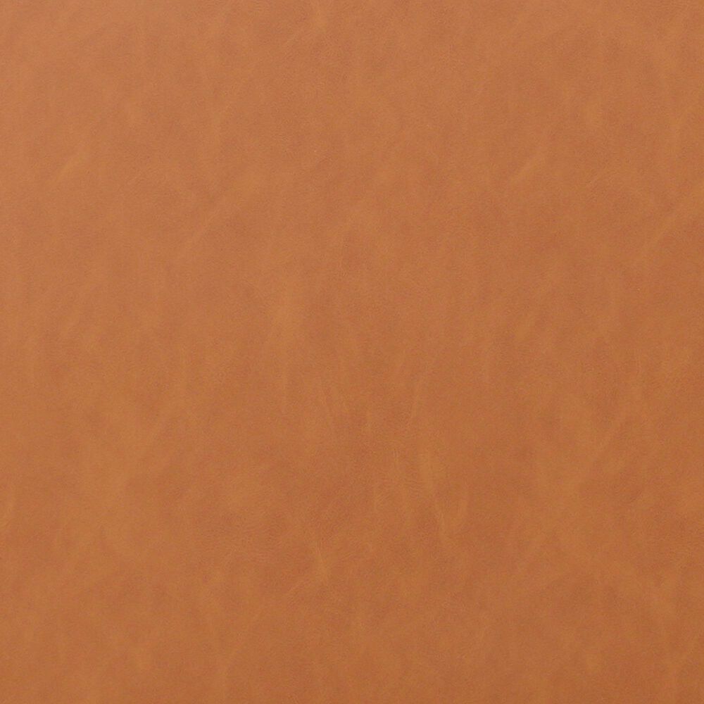 Lifestyle Solutions Langford Stationary Sofa in Caramel, , large