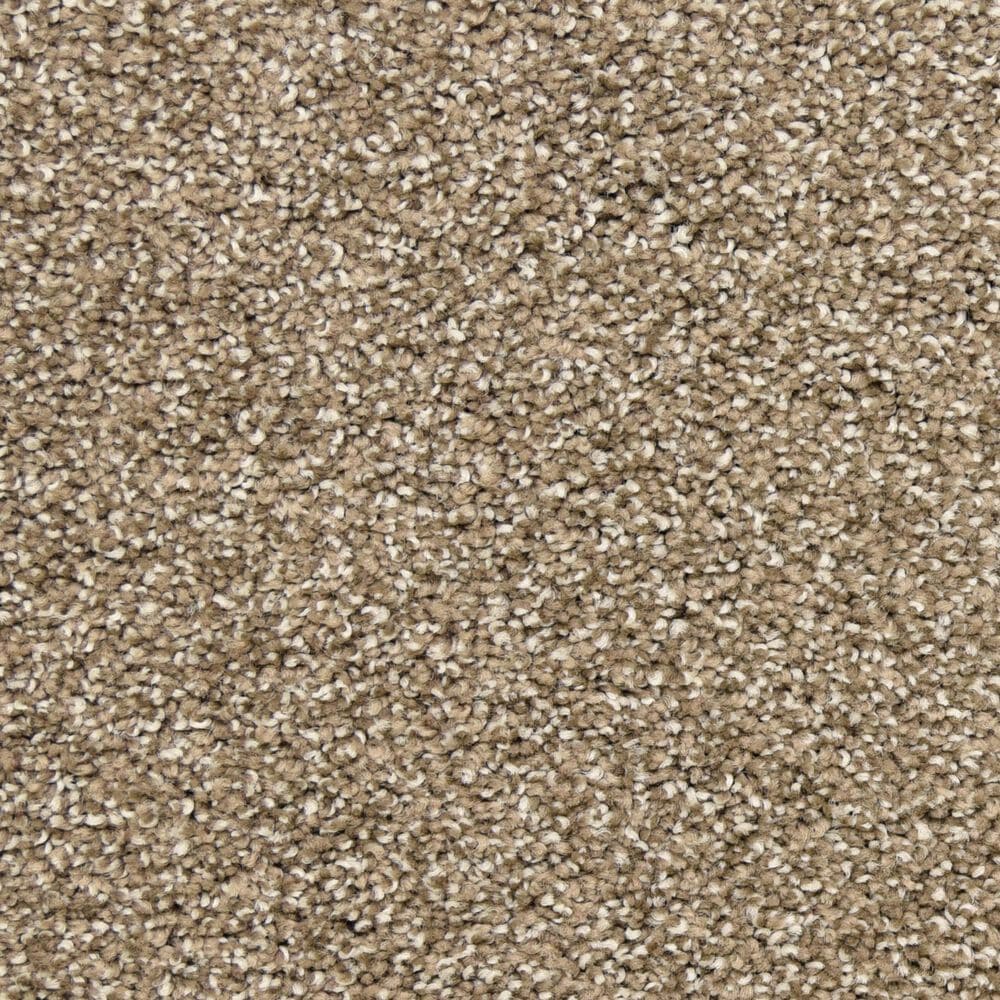 Dixie Home Escalante Carpet in Falcon, , large