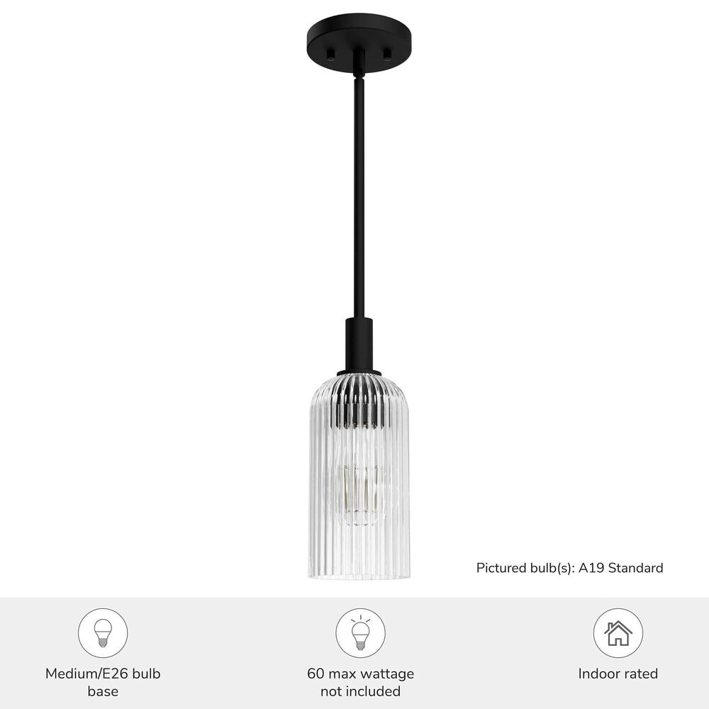 Hunter Beverly Glen Jasmine Roth 1-Light Mini Pendant in Matte Black, , large