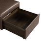 Lifestyle Solutions Hailey Storage Ottoman in Brown, , large