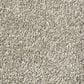 Shaw Find Your Comfort NS I Carpet in Back Patio, , large