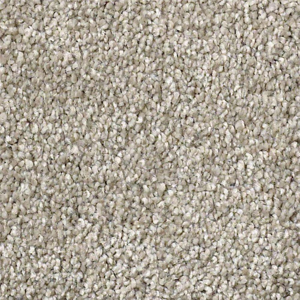 Shaw Find Your Comfort NS I Carpet in Back Patio, , large