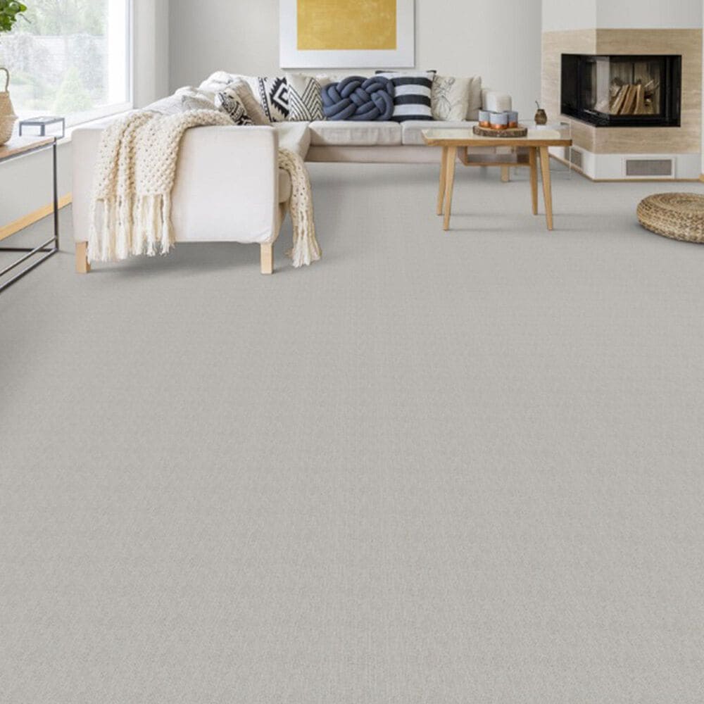 Dixie Home Worthington Carpet in Medium, , large