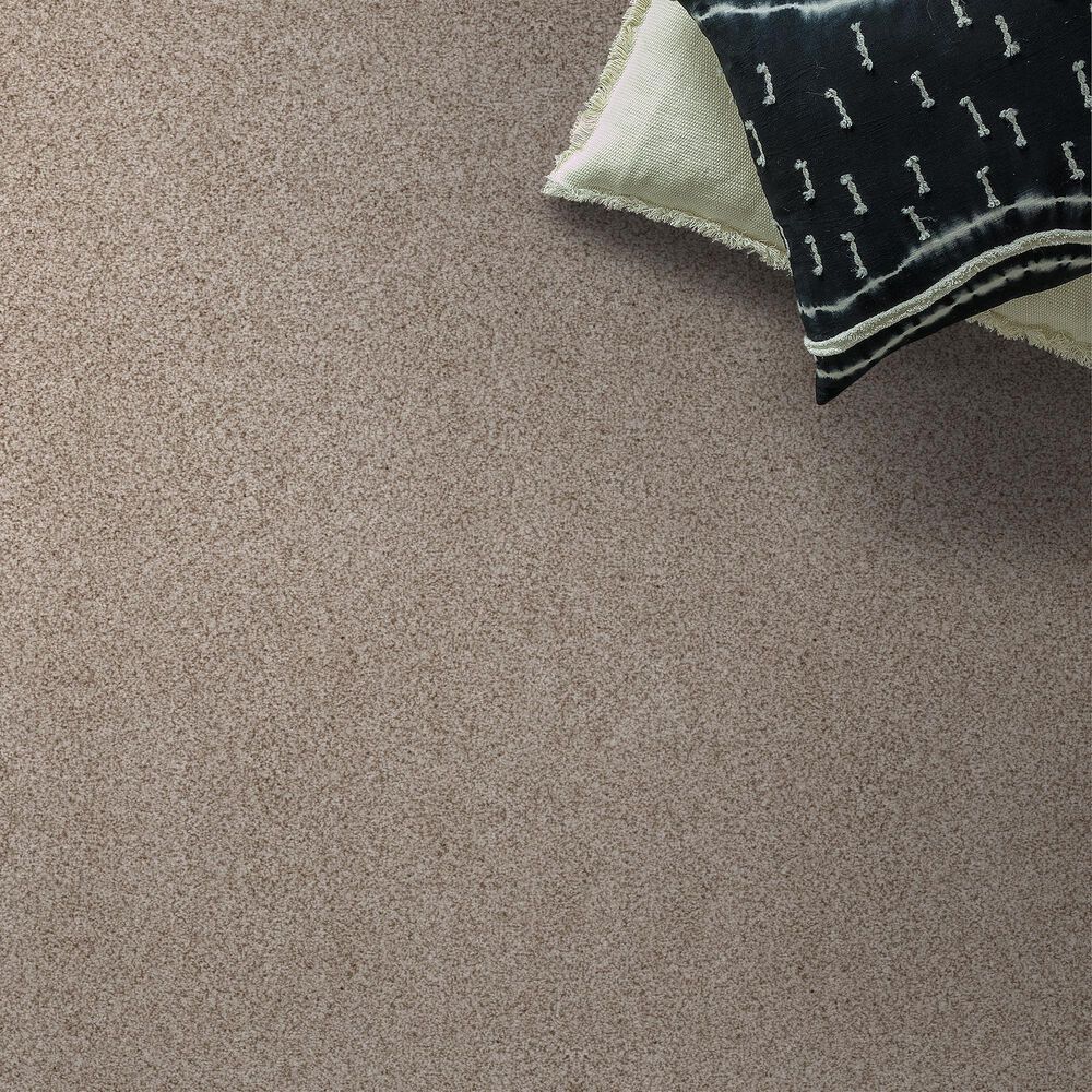 Anderson Tuftex Sumptuous II Carpet in Cliff, , large