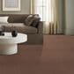 Anderson Tuftex Luxe Feel II Carpet in Sugar Maple, , large