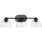 Golden Lighting Roxie 3-Light Semi-Flush in Matte Black, , large