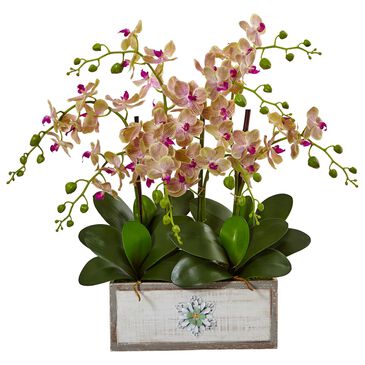 Nearly Natural Inc Phalaenopsis Orchid Arrangement in Cream and Orchid, , large