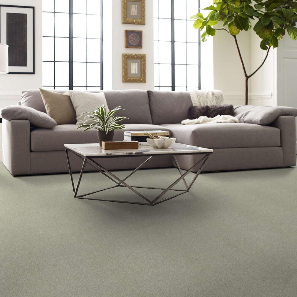 Shaw Your Comfort I Carpet in Willow Tree, , large