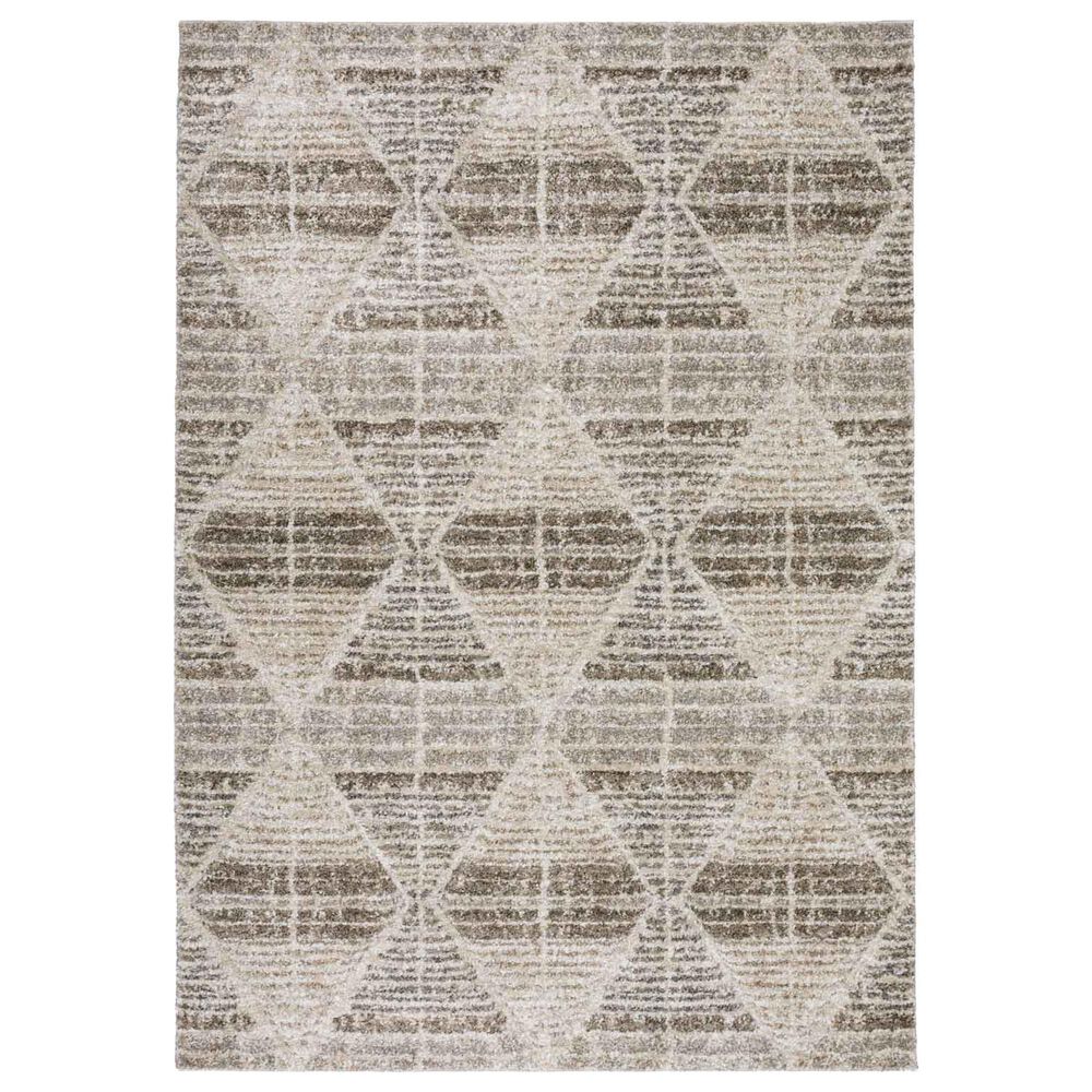Dalyn Rug Company Carmona 8" x 10" Driftwood Area Rug, , large