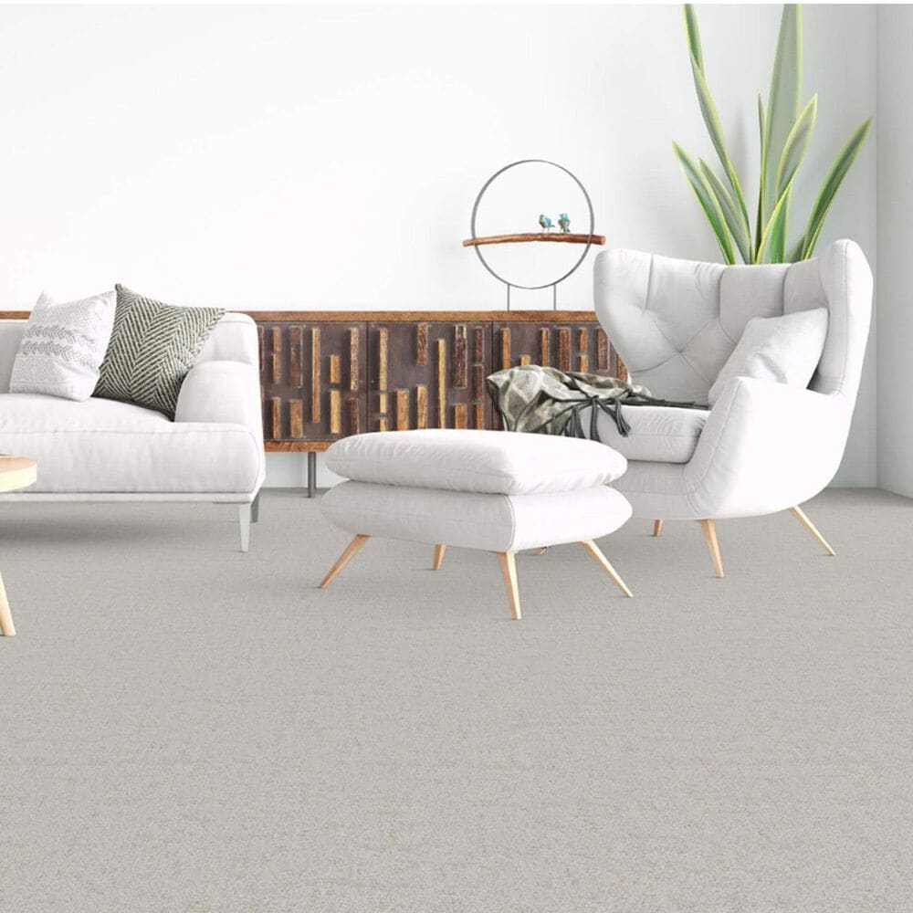 Dixie Home Genuine Carpet in Absolute, , large