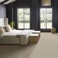 Anderson Tuftex Rhode Carpet in Sand Bar, , large