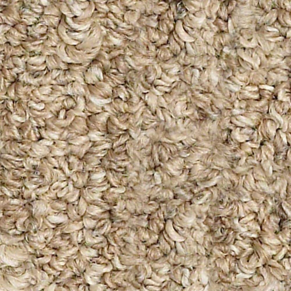 Shaw Natural Balance Carpet in Driftwood, , large