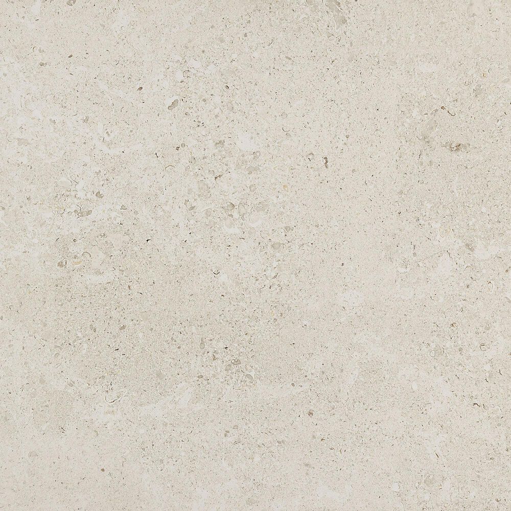 Dal-Tile Dignitary Luminary White 12&#39;&#39; x 24&#39;&#39; Porcelain White, , large