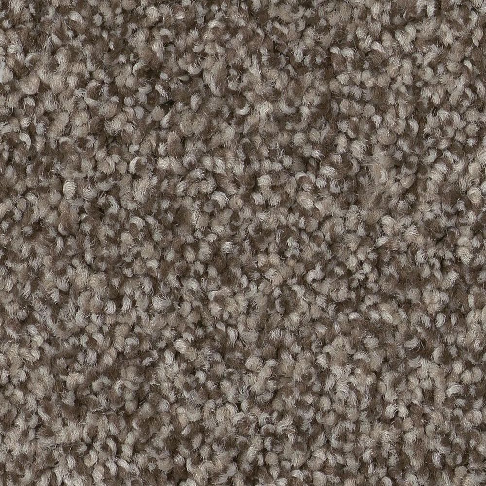 Anderson Tuftex Bossa Nova Carpet in Arrowhead, , large