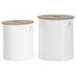 Maple and Jade 2-Piece Metal Storage Side Table Set with Wood Top in Polished White and Dark Brown, , large