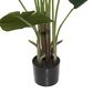 Maple and Jade 70" Artificial Strelitziaceae Tree in Green, , large