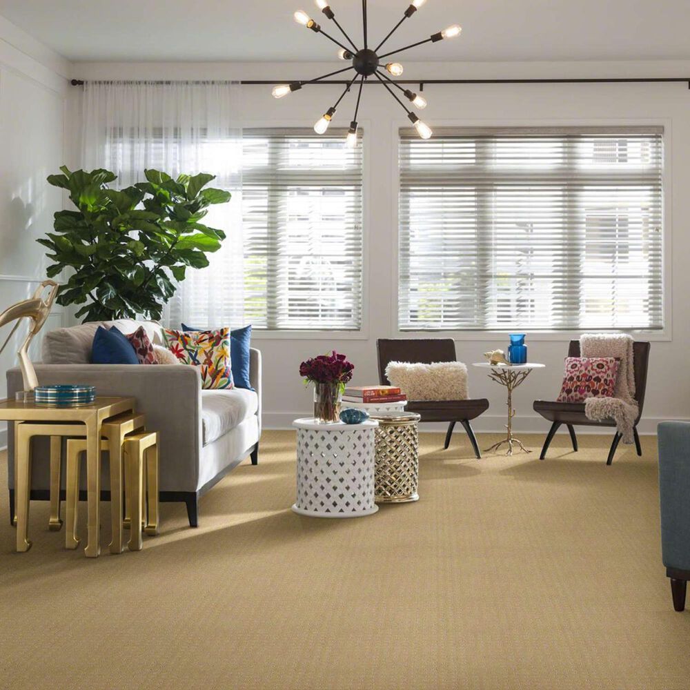 Philadelphia Alluring Disposition Carpet in Golden Rule, , large