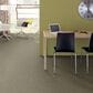 Shaw Simply the Best Attainable Carpet in Grecian Tan, , large