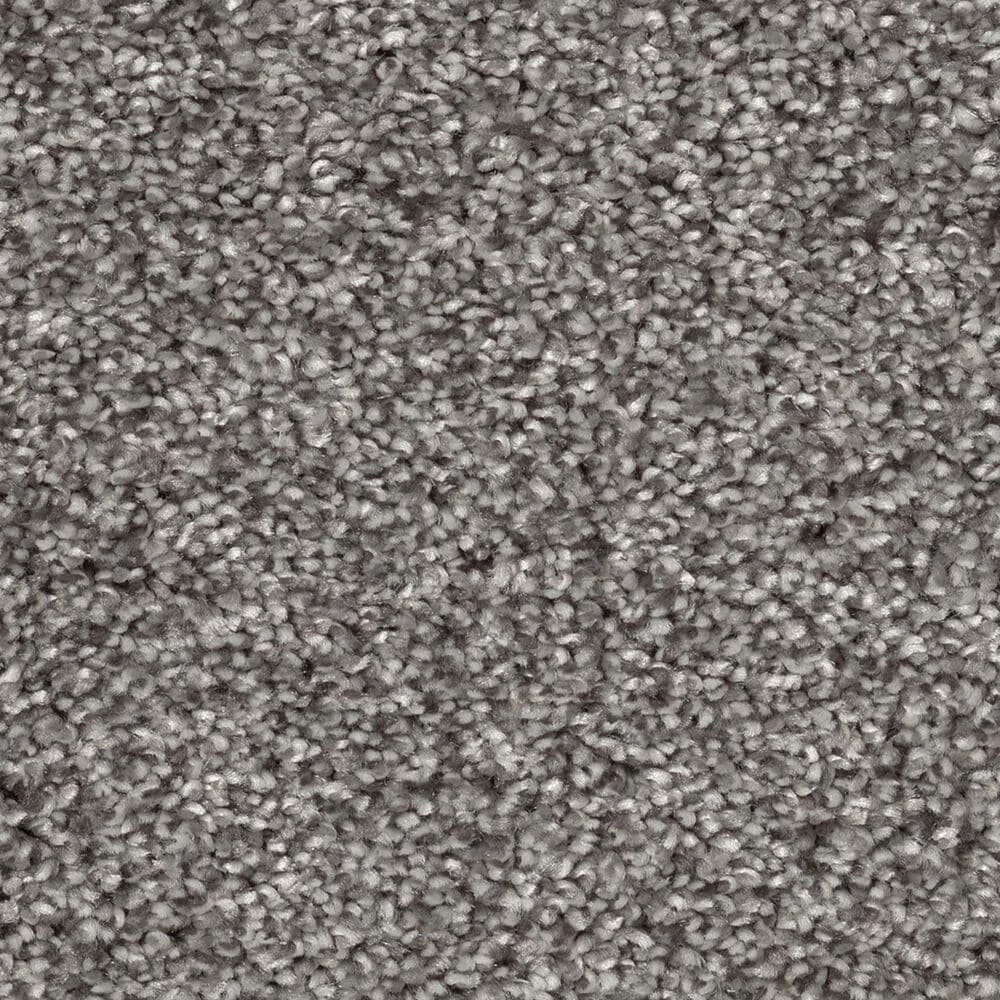 Shaw Pet Perfect Bold Move Carpet in Rock Crystal, , large
