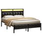 HOMLUX Queen Upholstered Platform Bed with 12.6" Under-bed Storage in Black, , large