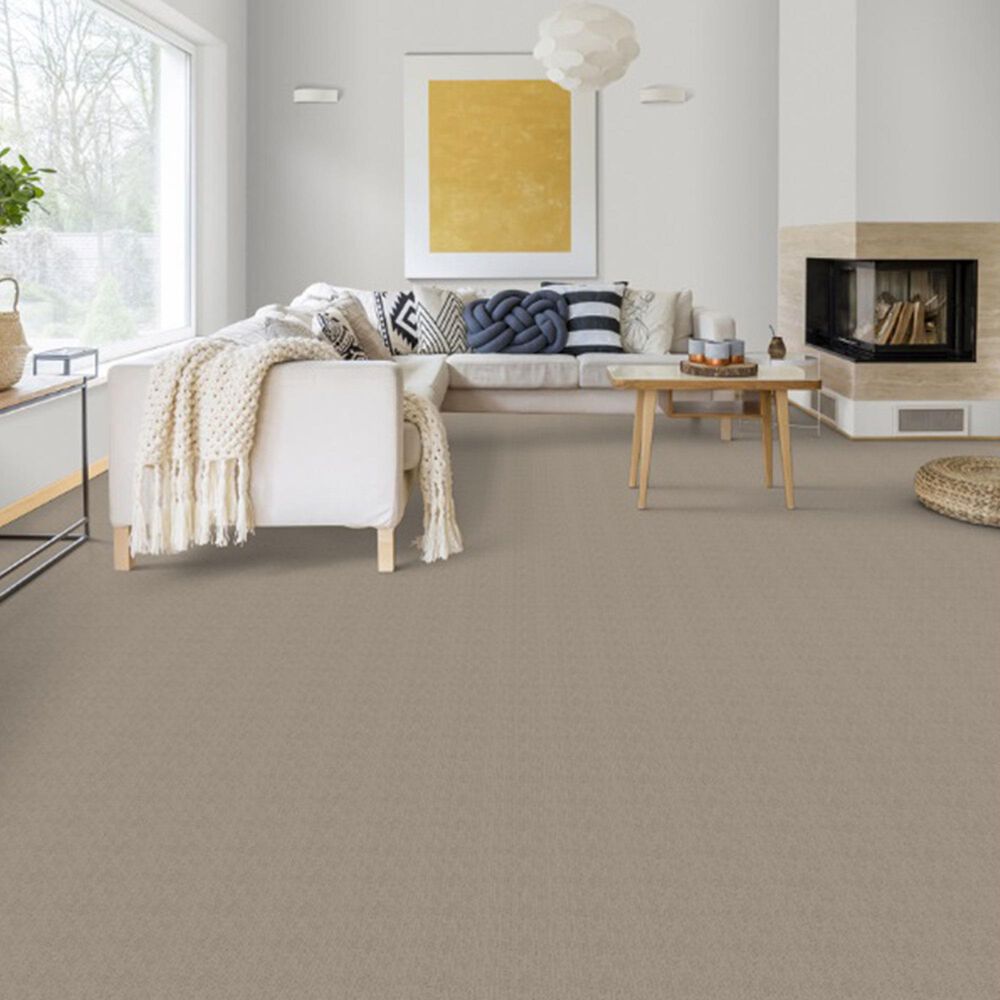 Dixie Home Worthington Carpet in Burnish, , large