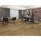 Paramount Bliss 5.0 Clearwater 9" x 60" Luxury Vinyl Plank, , large
