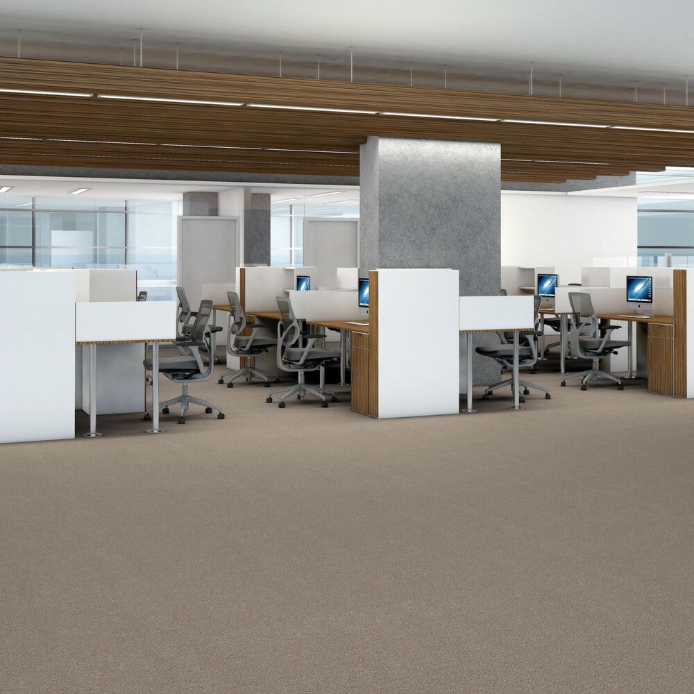 Shaw Trusplendor Carpet in Mist, , large