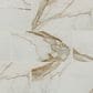 MS International Regallo Calacatta Marbella 24" x 48" Polished Porcelain Tile, , large