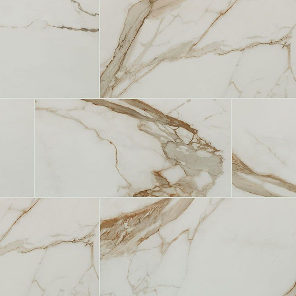 MS International Regallo Calacatta Marbella 24" x 48" Polished Porcelain Tile, , large