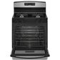 Amana 30" Freestanding Gas Range with Bake Assist Temps in Stainless Steel, , large