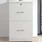 Valor Living Alpine 2-Drawer Vertical File Cabinet in White, , large