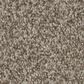 Anderson Tuftex Terra Nova Carpet in Urban Nature, , large