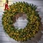 The Gerson Company 48" Pre-Lit Aspen Spruce Artificial Christmas Wreath with White LED Lights in Green, , large