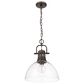 Golden Lighting Duncan 1-Light Pendant with Chain and Clear Glass Shade in Rubbed Bronze, , large