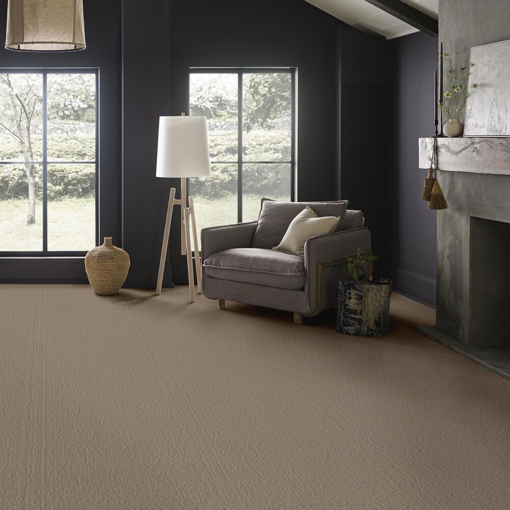 Anderson Tuftex Sensate Carpet in Zen, , large