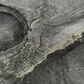 Dalyn Rug Company Odyssey 8" x 10" Charcoal Area Rug, , large