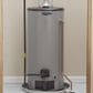 GE Appliances RealMAX Choice 30-Gallon Short Liquid Propane Atmospheric Water Heater in Gray, , large