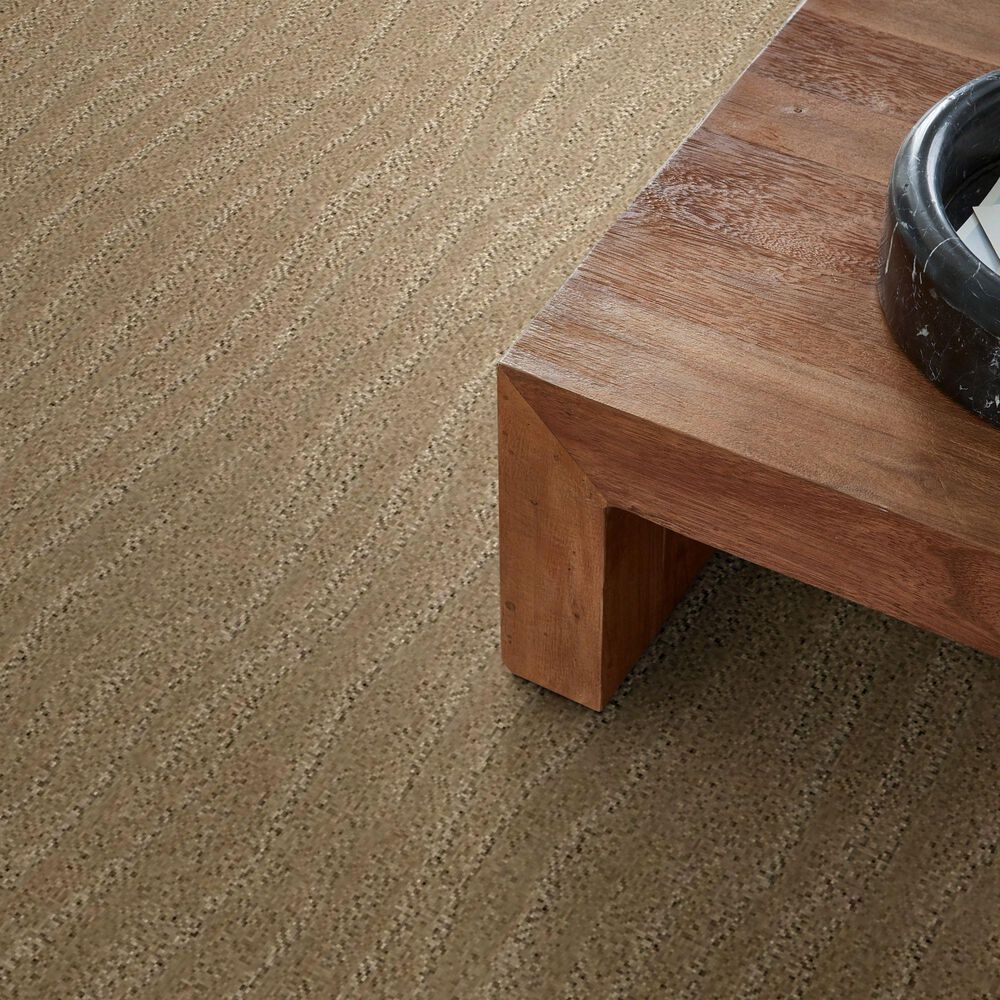 Anderson Tuftex Pose Carpet in Coronado, , large