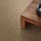 Anderson Tuftex Pose Carpet in Coronado, , large