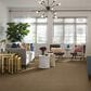 Shaw Alluring Disposition Carpet in Grounded, , large