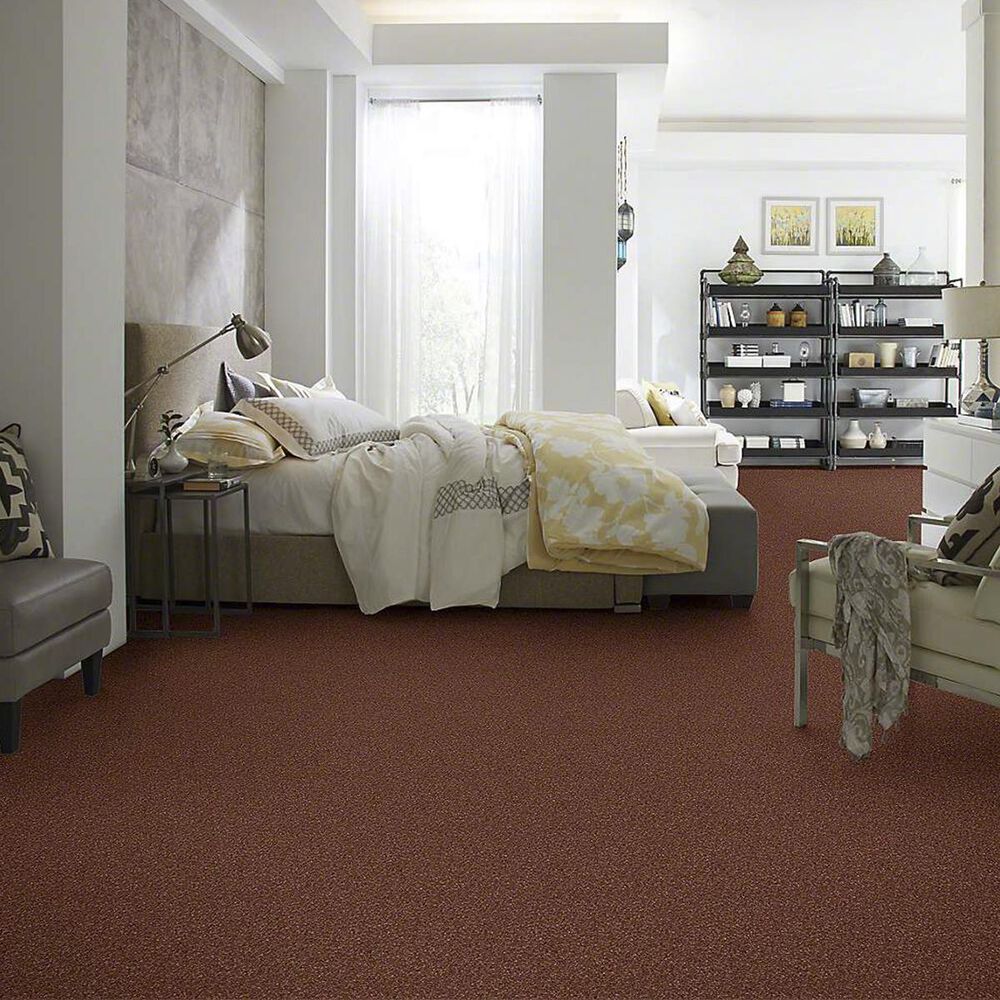 Anderson Tuftex Barracan Classic III Carpet in Rich Henna, , large