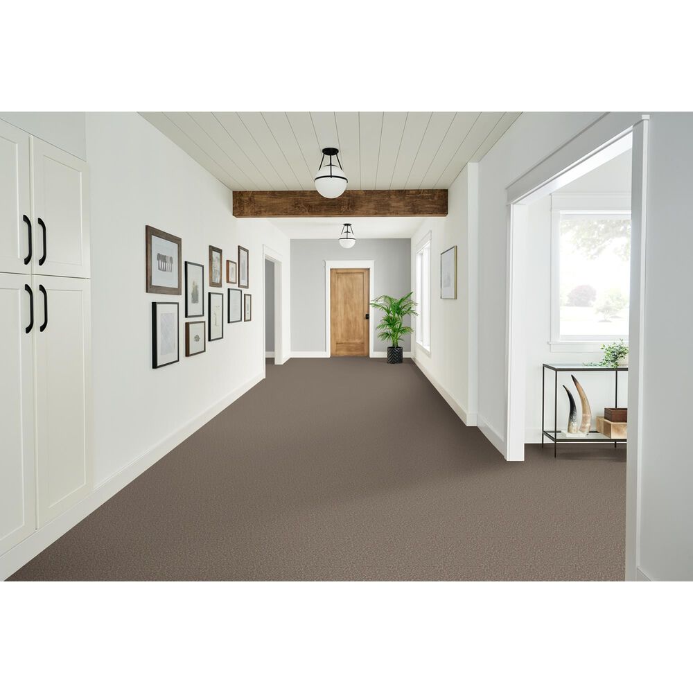Phenix Sparta Carpet in Canyon, , large