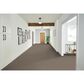 Phenix Sparta Carpet in Canyon, , large