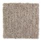 Mohawk Sweetwater Estate Carpet in Sumatra Blend, , large