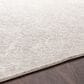 Surya Aisha AIS-2307 10" x 14" Light Gray and Off-White Area Rug, , large