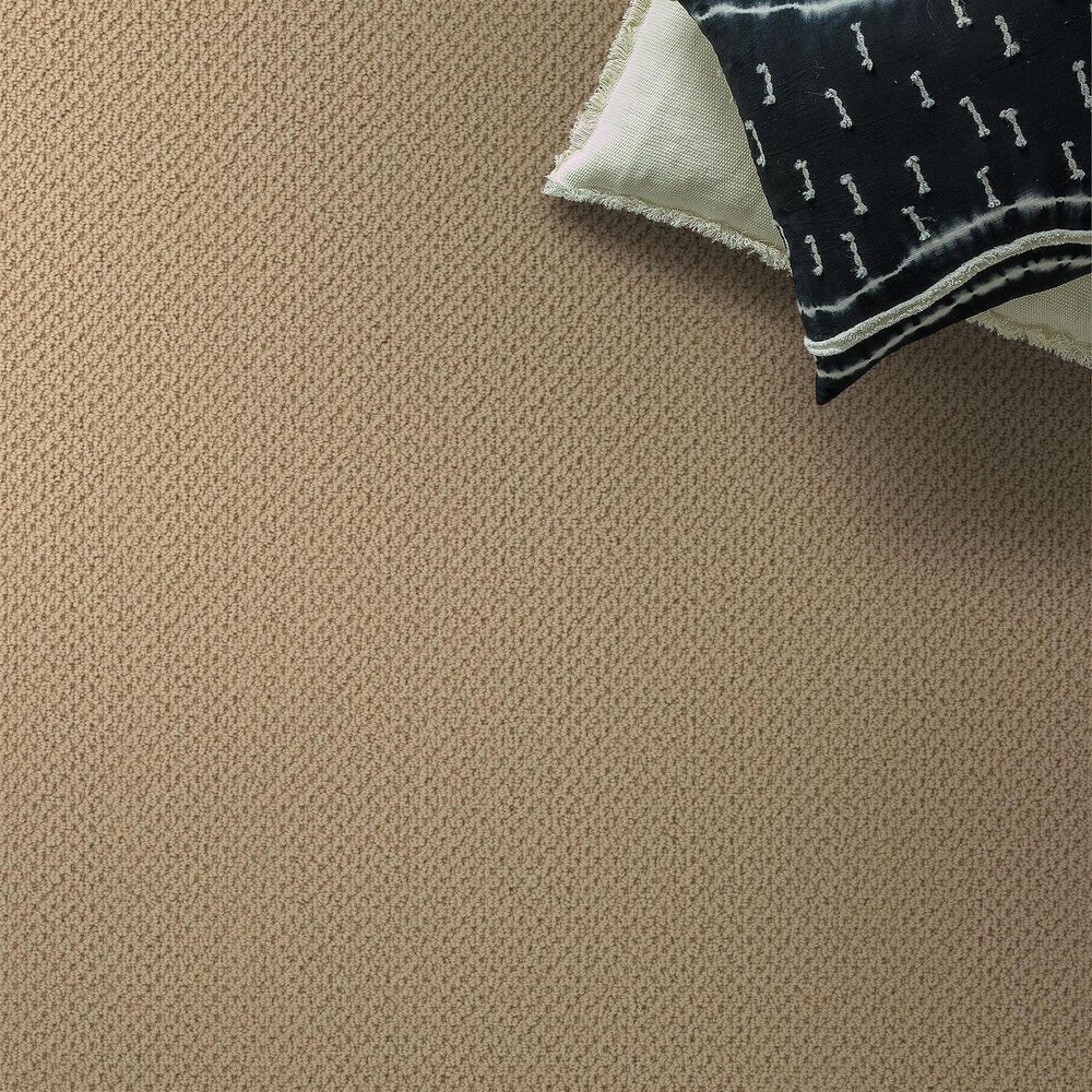 Anderson Tuftex Gracious Carpet in Plateau, , large