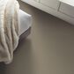 Shaw Comforting II Carpet in Boardwalk, , large