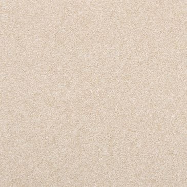 Mohawk Dynamic Quality I Carpet in Sheepskin, , large